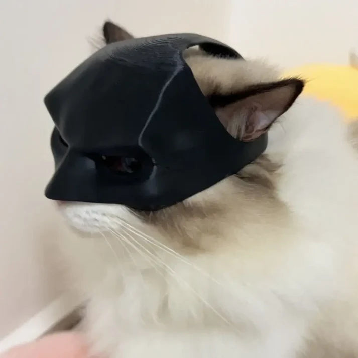 Batcat Design Mask For Cat