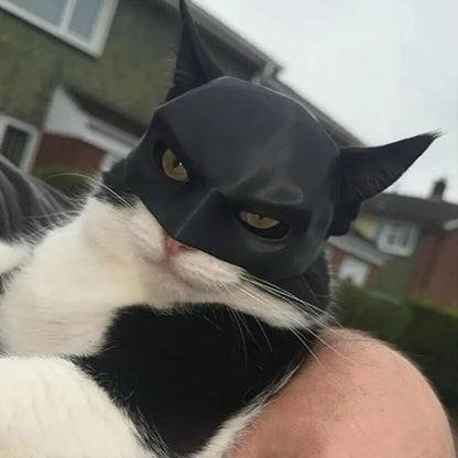 Batcat Design Mask For Cat