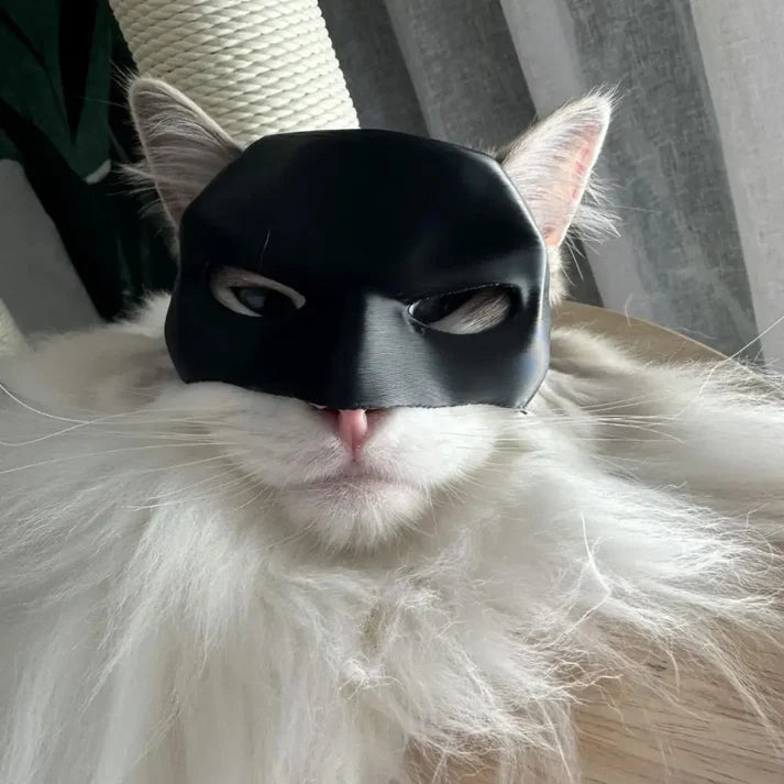 Batcat Design Mask For Cat