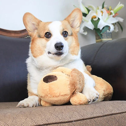 Dog Heartbeat Toy for Anxiety Relief |  Soft Plush Toy For Pets Behavioural Training | Heartbeat Toy for Cats & Dogs