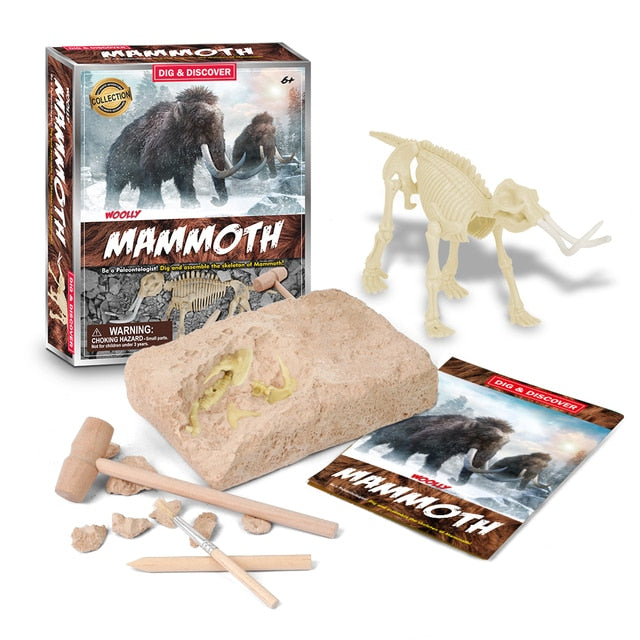 Dinosaur Digging Fossil Kit | Educational Toy For Kids | Dig Up Dinosaurs Skeleton Set